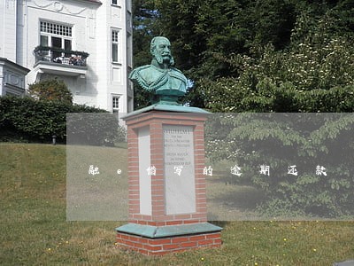 融e借写的逾期还款 融e借写的逾期还款