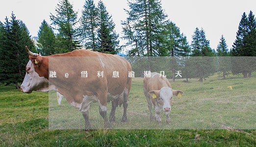 融e借利息逾期几天 融e借利息逾期几天