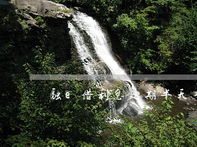 融e借利息逾期半天有影响吗
