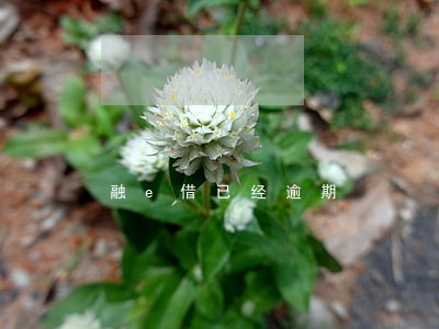 融e借已经逾期 融e借已经逾期