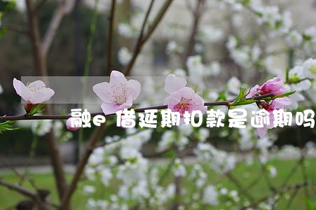 融e借延期扣款是逾期吗 融e借延期扣款是逾期吗