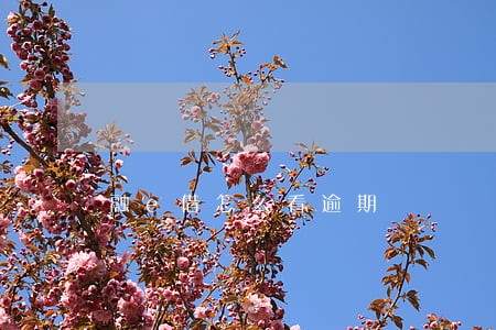 融e借怎么看逾期 融e借怎么看逾期