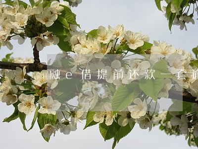 融e借提前还款一套逾期 融e借提前还款一套逾期