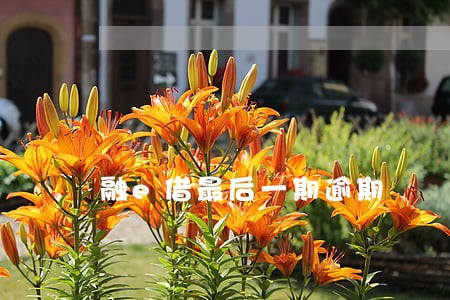 融e借最后一期逾期 融e借最后一期逾期