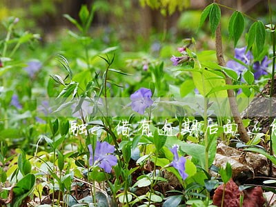 融e借有逾期后面还能借出来吗 融e借有逾期后面还能借出来吗