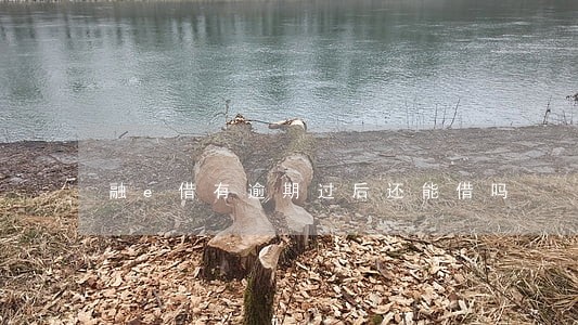 融e借有逾期过后还能借吗 融e借有逾期过后还能借吗