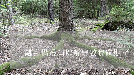 融e借没有提醒导致我逾期了 融e借没有提醒导致我逾期了
