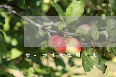 融e借贷款逾期一天 融e借贷款逾期一天