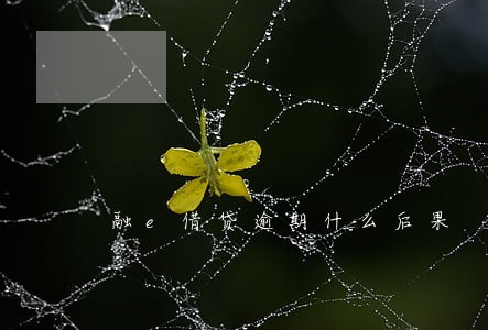 融e借贷逾期什么后果 融e借贷逾期什么后果