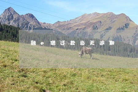 融e借还款当天逾期 融e借还款当天逾期