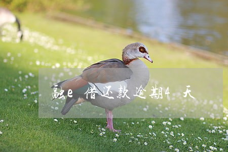 融e借还款逾期4天 融e借还款逾期4天