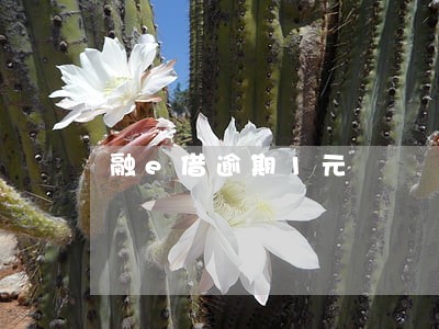 融e借逾期1元