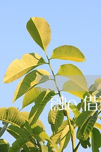 融e借逾期36个月了 融e借逾期36个月了