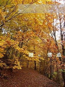 融e借逾期3天能不能消除
