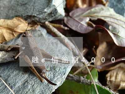 融e借逾期4000一年 融e借逾期4000一年