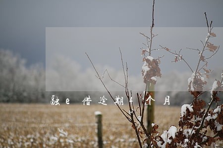 融e借逾期4个月 融e借逾期4个月