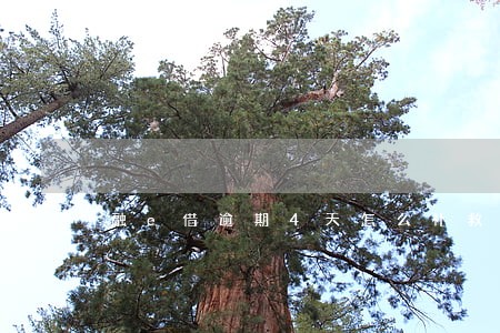 融e借逾期4天怎么补救 融e借逾期4天怎么补救