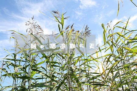 融e借逾期5天 融e借逾期5天