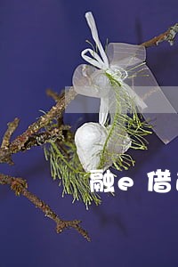 融e借逾期一个月有什么后果 融e借逾期一个月有什么后果