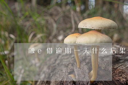 融e借逾期一天什么后果 融e借逾期一天什么后果