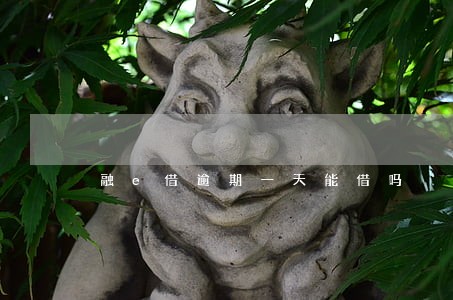 融e借逾期一天能借吗 融e借逾期一天能借吗