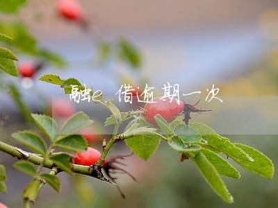 融e借逾期一次 融e借逾期一次