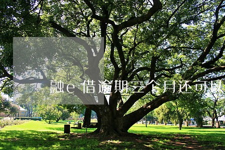 融e借逾期三个月还可以用吗 融e借逾期三个月还可以用吗