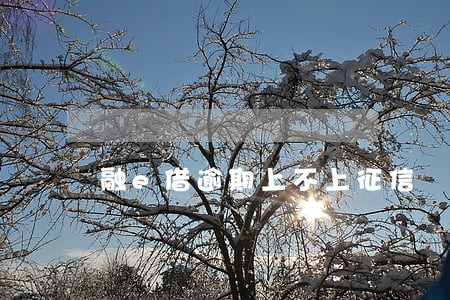 融e借逾期上不上征信