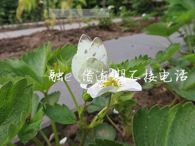 融e借逾期不接电话 融e借逾期不接电话