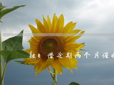 融e借逾期两个月催收 融e借逾期两个月催收