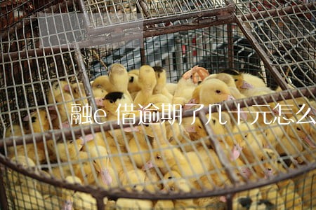 融e借逾期了几十元怎么还款 融e借逾期了几十元怎么还款