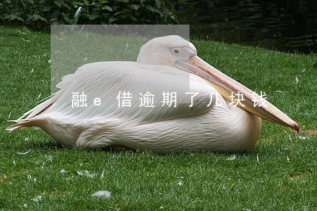 融e借逾期了几块钱 融e借逾期了几块钱
