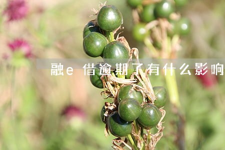 融e借逾期了有什么影响 融e借逾期了有什么影响
