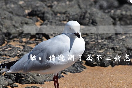 融e借逾期了还不上会怎样 融e借逾期了还不上会怎样