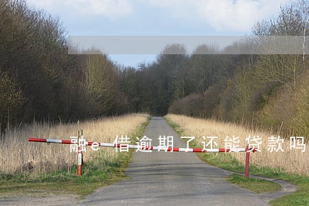 融e借逾期了还能贷款吗 融e借逾期了还能贷款吗