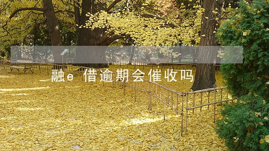 融e借逾期会催收吗 融e借逾期会催收吗