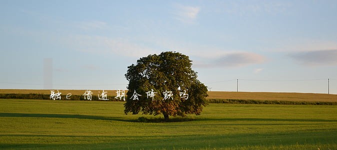 融e借逾期会降额吗 融e借逾期会降额吗