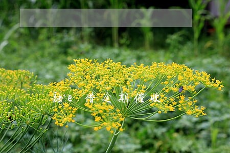 融e借逾期催收 融e借逾期催收