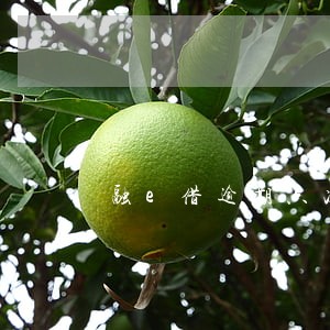 融e借逾期六次可以办公积金吗 融e借逾期六次可以办公积金吗