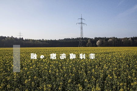 融e借逾期利率 融e借逾期利率