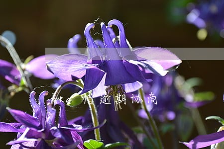 融e借逾期协商 融e借逾期协商