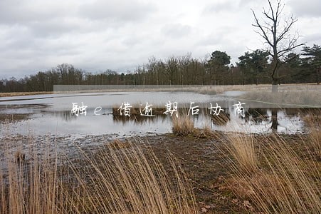 融e借逾期后协商