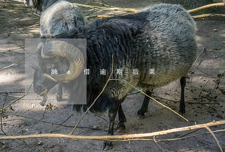 融e借逾期后果 融e借逾期后果