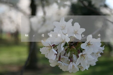 融e借逾期多久会上诉 融e借逾期多久会上诉