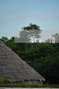 融e借逾期多久会在征信上消去 融e借逾期多久会在征信上消去