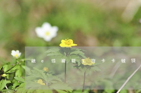 融e借逾期工资卡卡被锁定 融e借逾期工资卡卡被锁定