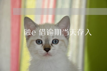 融e借逾期当天存入 融e借逾期当天存入