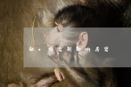 融e借逾期影响房贷 融e借逾期影响房贷