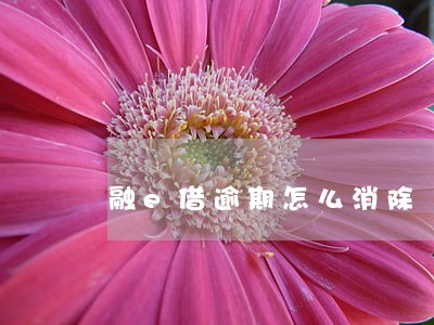 融e借逾期怎么消除