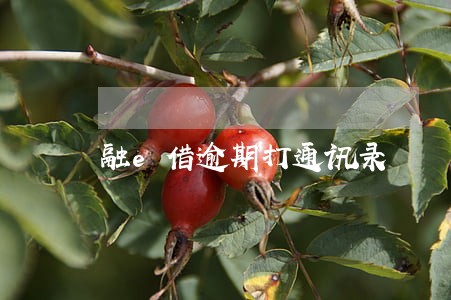 融e借逾期打通讯录 融e借逾期打通讯录